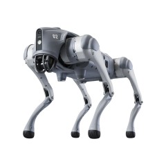 Quadrupeds