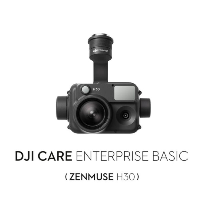 DJI Care Enterprise Basic (H30)