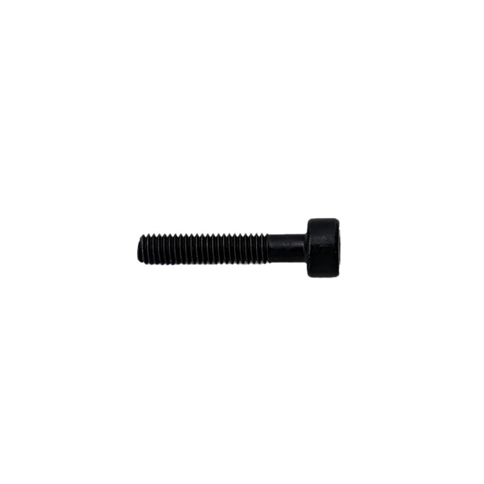 Screw (M30-HC01600120-057030-0323-Y)