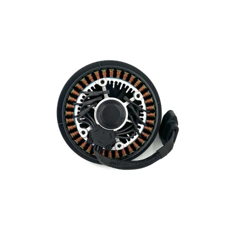 Agras T25 10028 Propulsion Motor - Image product