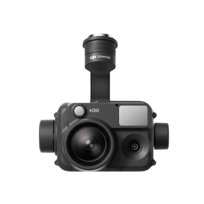 DJI Zenmuse H30 Worry-Free Plus Combo