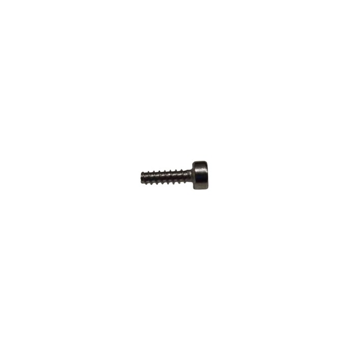 Screw T30-HC01000100-057030-5103-N