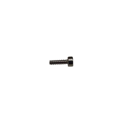 Screw T30-HC01000100-057030-5103-N