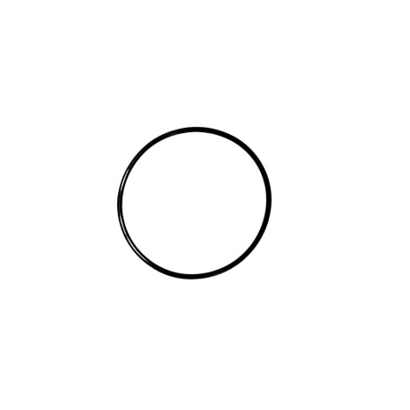 Motor Sealing Ring (OD= 46.8 mm) - Image product