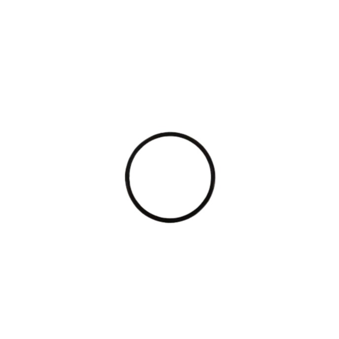 Sealing Ring (OD=31.4 mm)