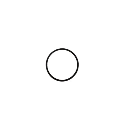 Sealing Ring (OD=31.4 mm)