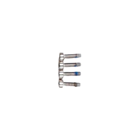 Screw M30-HC01200120-055030-5104-Y - Image product