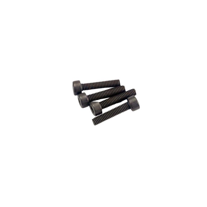 Traxxas Cap Head Screws 2.5x12mm (4)